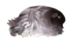 button3copy.gif