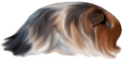button66.gif