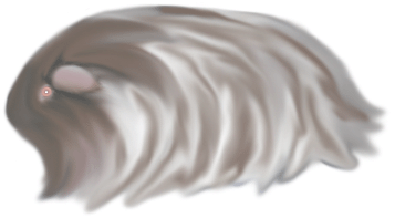 button7.gif