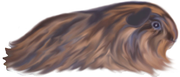 button8.gif