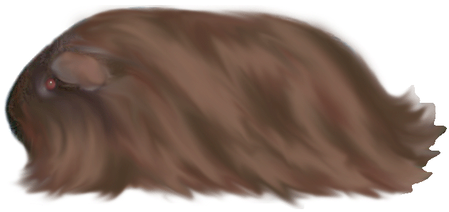 button9.gif