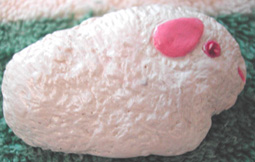 teddy-pewhite.jpg